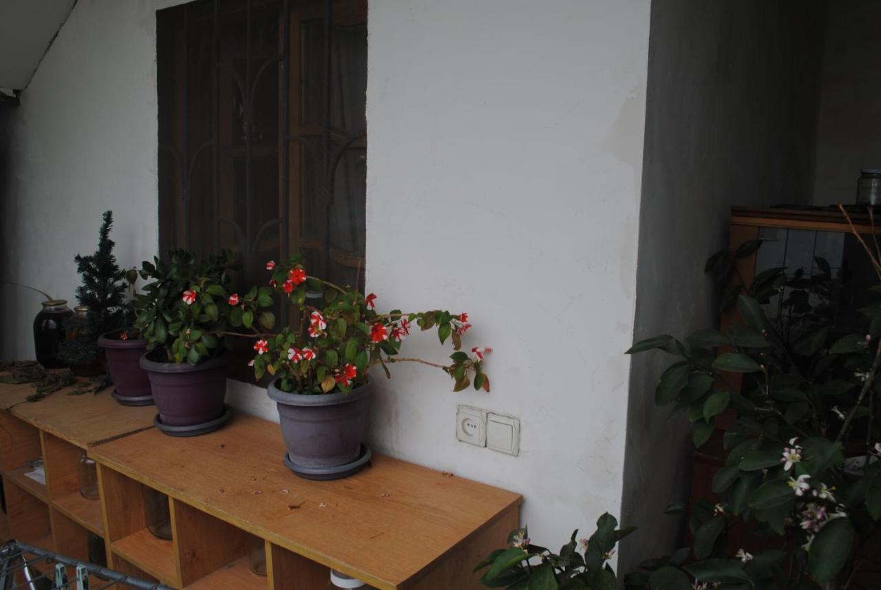 Family Guesthouse - Macharashvili Tbilisi Exteriör bild